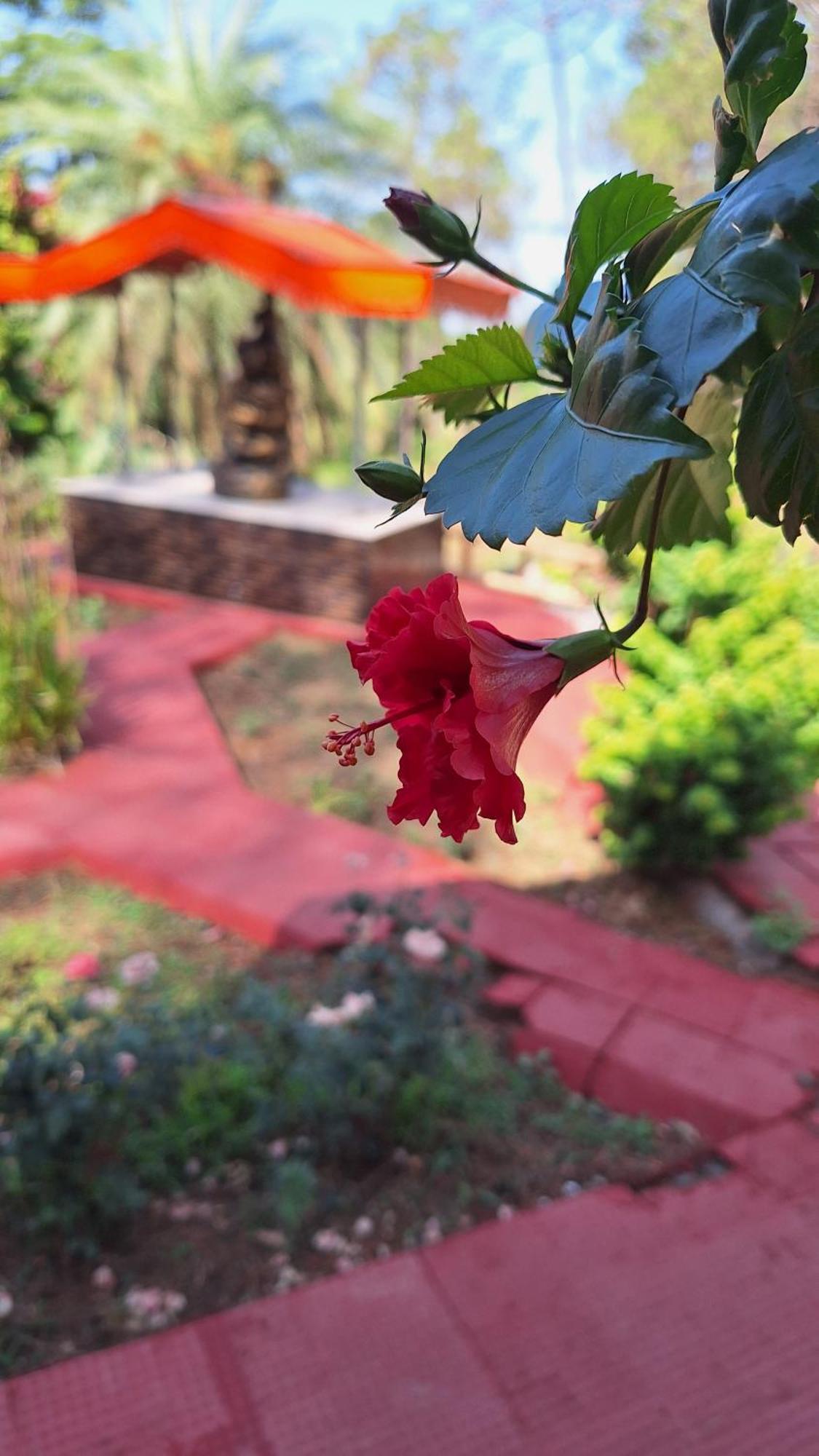 Tathastu Bir -Homestay ,Dorm,Hostel Ngoại thất bức ảnh