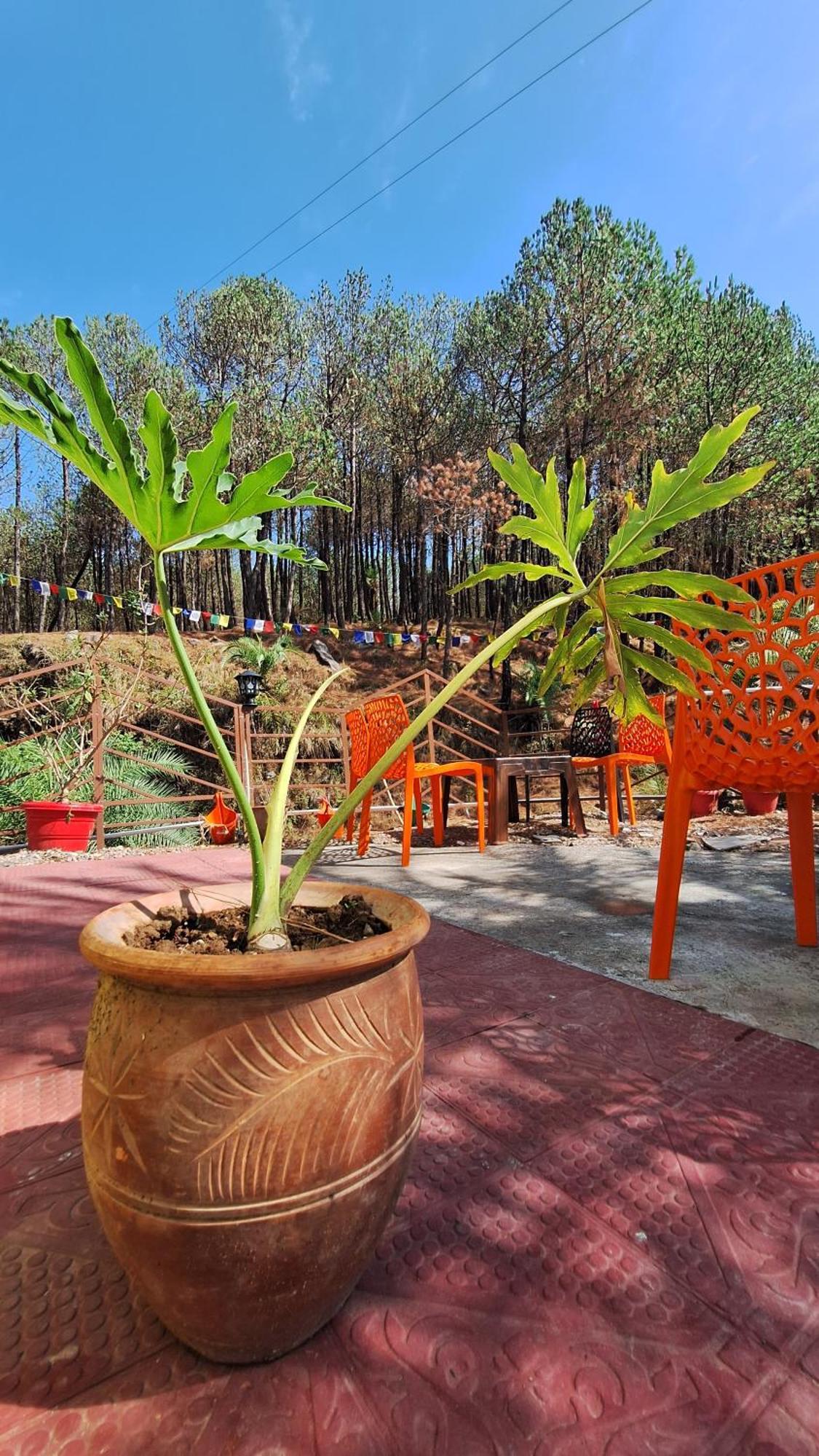 Tathastu Bir -Homestay ,Dorm,Hostel Ngoại thất bức ảnh