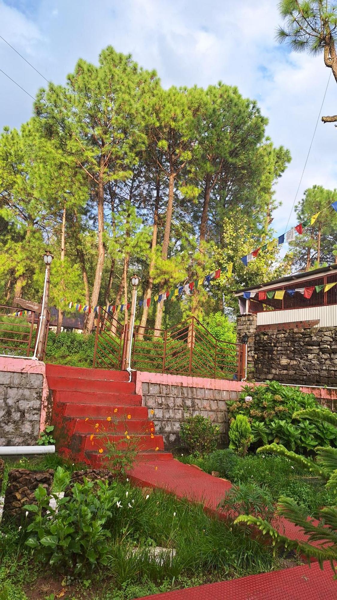 Tathastu Bir -Homestay ,Dorm,Hostel Ngoại thất bức ảnh