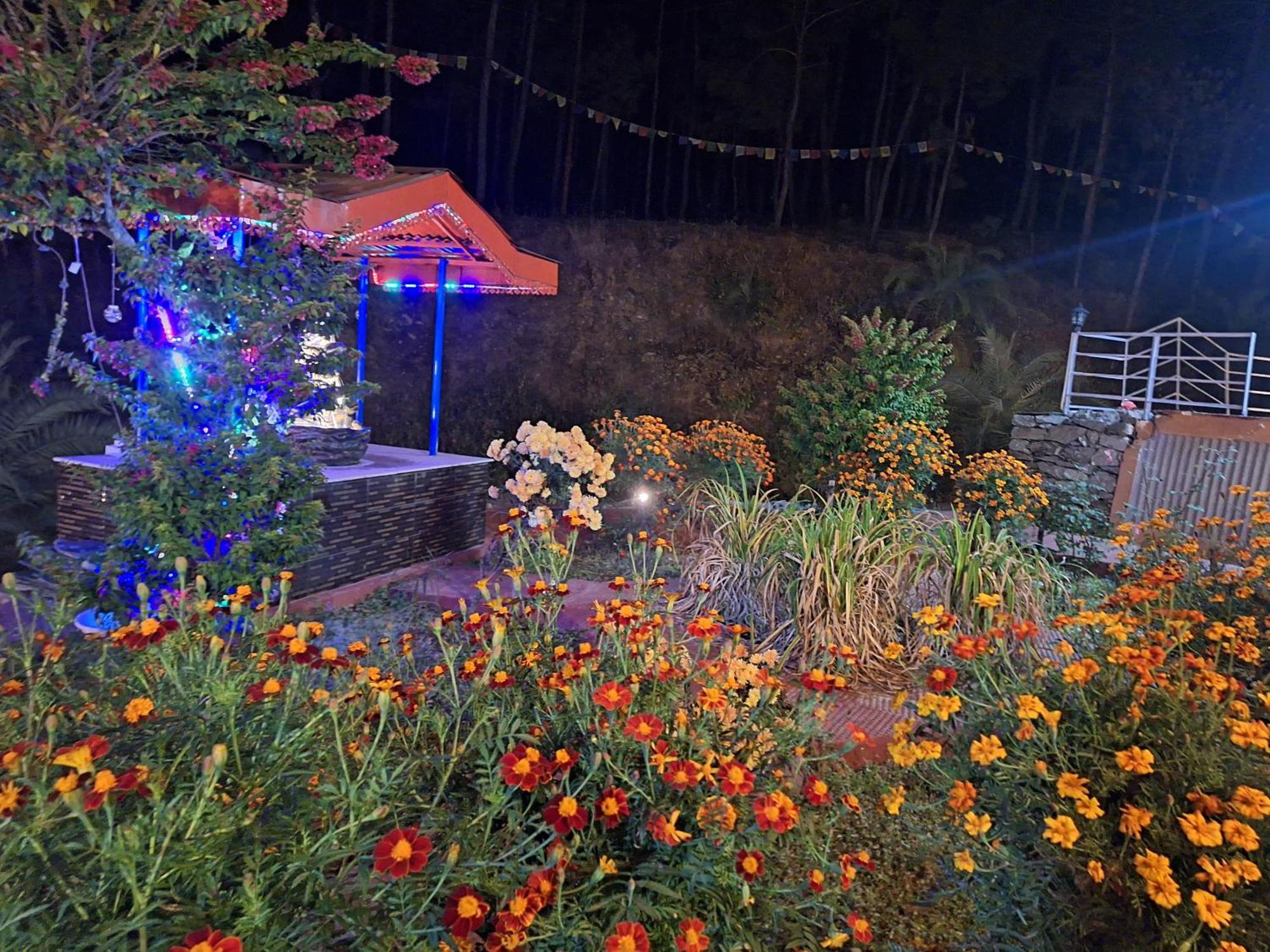 Tathastu Bir -Homestay ,Dorm,Hostel Ngoại thất bức ảnh